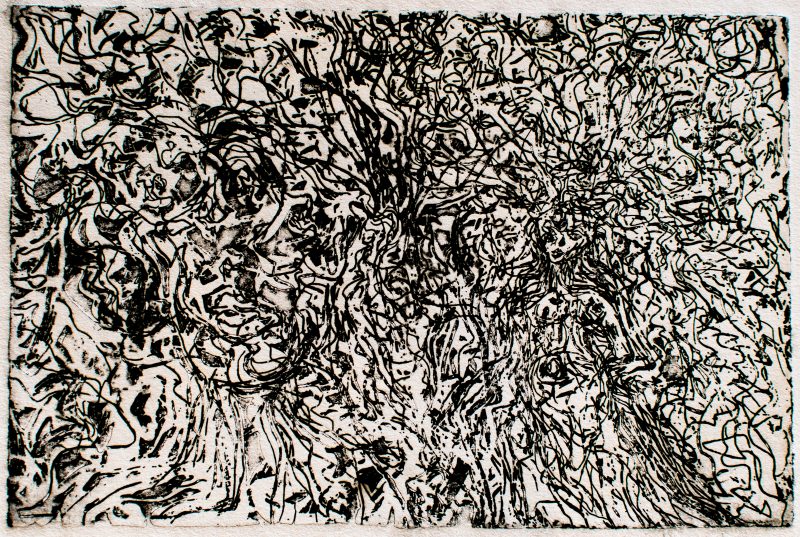 mélangés - gravure, eau forte - 30x40 cm - oeuvre de Mathieu Boulier  alias Ma'Boul.