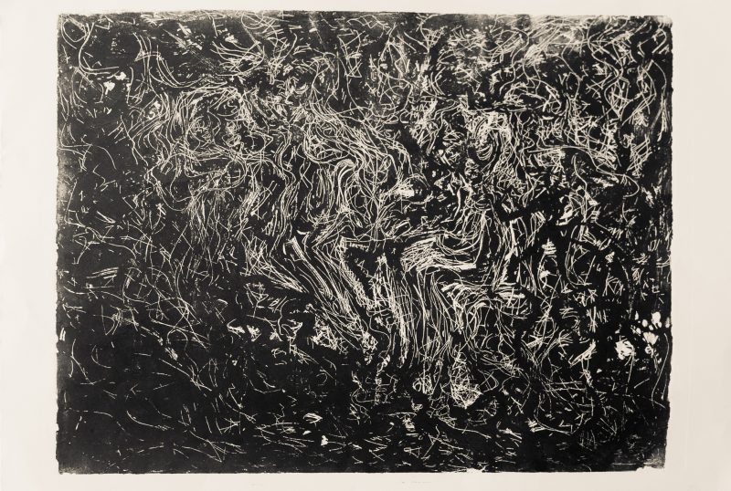 fibres (n°1) - 33 x 50 cm - eau forte - oeuvre de .