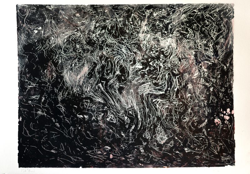 fibres - 33 x 50 cm - eau forte